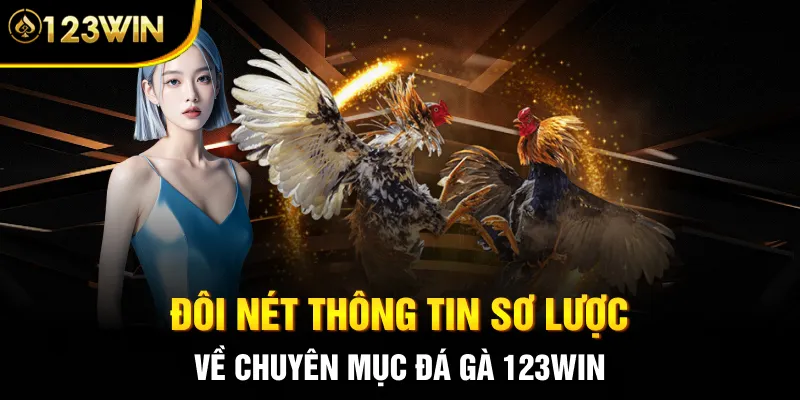 Đôi nét thông tin sơ lược về chuyên mục đá gà 123WIN