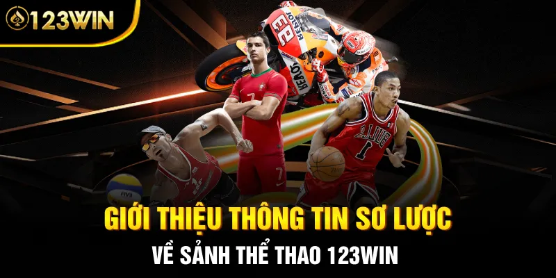 Giới thiệu thông tin sơ lược về sảnh thể thao 123WIN