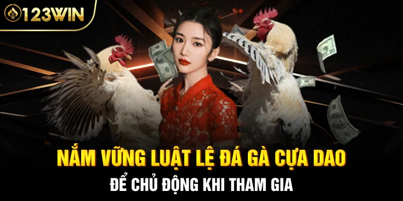 Nắm vững luật lệ đá gà cựa dao để chủ động khi tham gia
