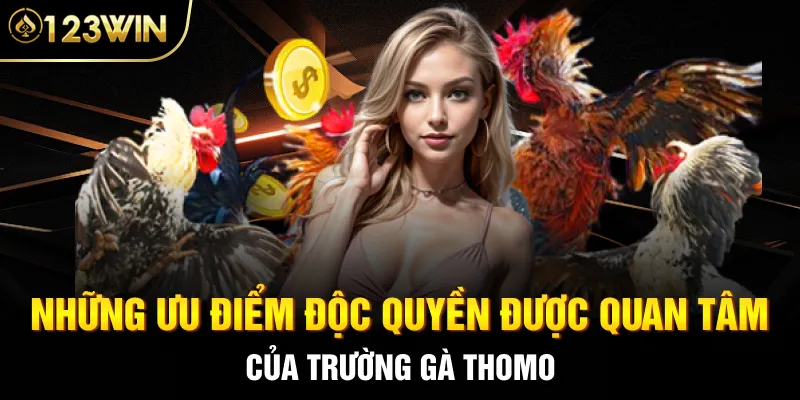 Những ưu điểm độc quyền được quan tâm của trường gà Thomo 