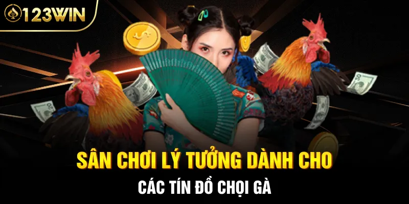 Sân chơi lý tưởng dành cho các tín đồ chọi gà