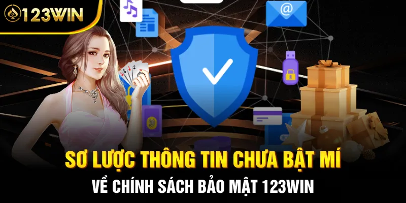 Sơ lược thông tin chưa bật mí về chính sách bảo mật 123WIN