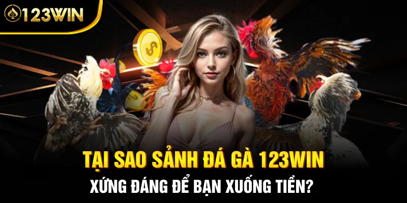 Tại sao sảnh đá gà 123WIN xứng đáng để bạn xuống tiền?